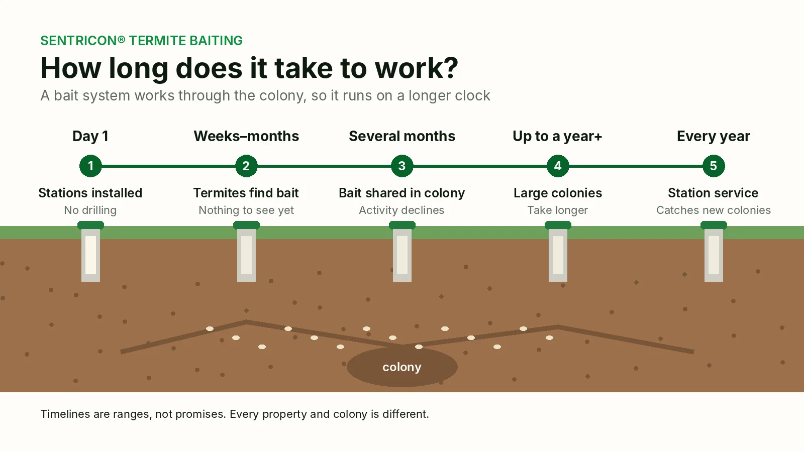 Illustrated timeline of a Sentricon bait station program: installation, termites finding the bait, bait shared through the colony, activity declining, and ongoing station service.
