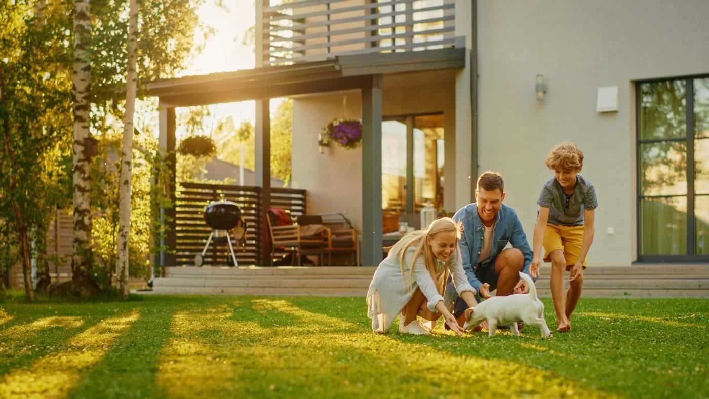 Green residential yard and outdoor living space