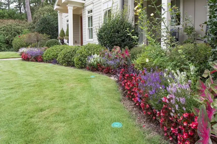 In-ground termite bait stations in a landscaped yard